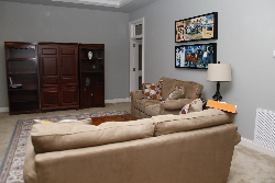a living room with two couches and shelves