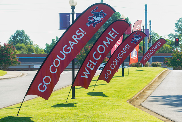 four flags that say Welcome and Go Cougars