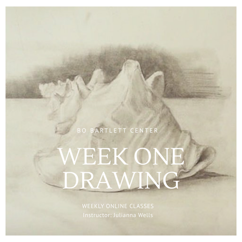 Online Art Acadamy at The Bo Bartlett Center Week 1 - Drawing